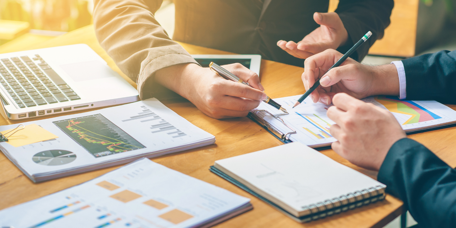 Scopri di più sull'articolo Business e protezione